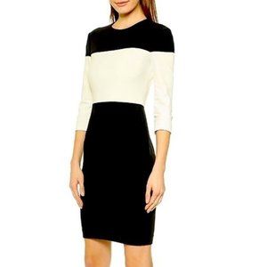 Rag & Bone Carola Color Block 3/4 Sleeve Shift Dress Size: 8
